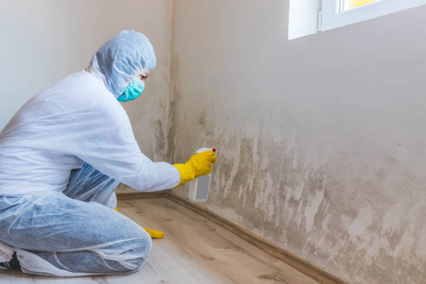 Licensed Mold Inspection And Testing service in Chesterfield, NJ - Mold Remediation HQ