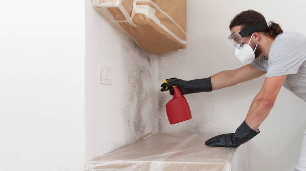 Professional Mold Inspection And Testing technician working in Chesterfield, NJ