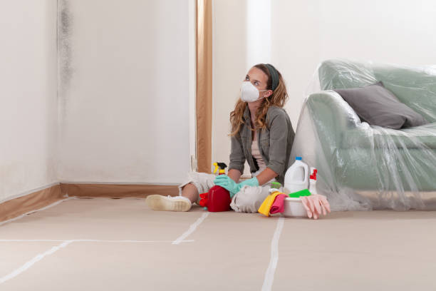 Reliable Mold Inspection And Testing contractor in Chesterfield, NJ by Mold Remediation HQ