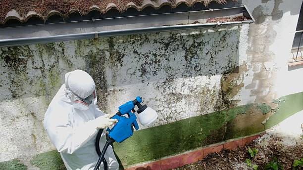 Top rated local Mold Inspection And Testing specialists in Chesterfield, NJ